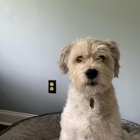 Meet your Posher, Caroline - Picture 1 of 1